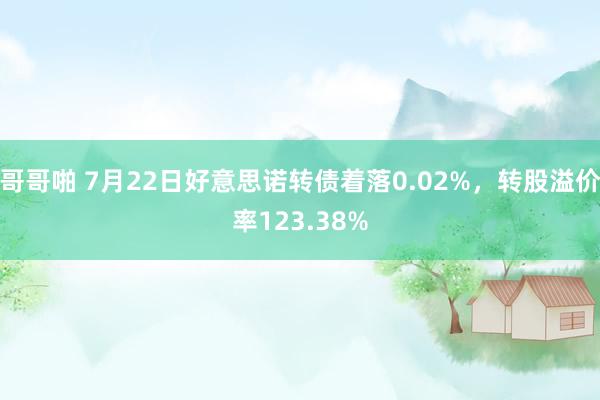 哥哥啪 7月22日好意思诺转债着落0.02%，转股溢价率123.38%