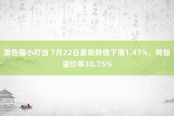 激色猫小叮当 7月22日豪能转债下落1.47%，转股溢价率30.75%