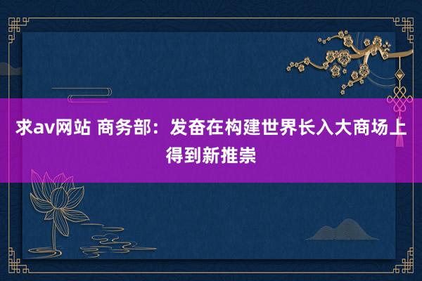 求av网站 商务部：发奋在构建世界长入大商场上得到新推崇