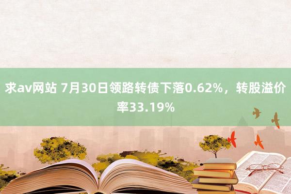 求av网站 7月30日领路转债下落0.62%，转股溢价率33.19%