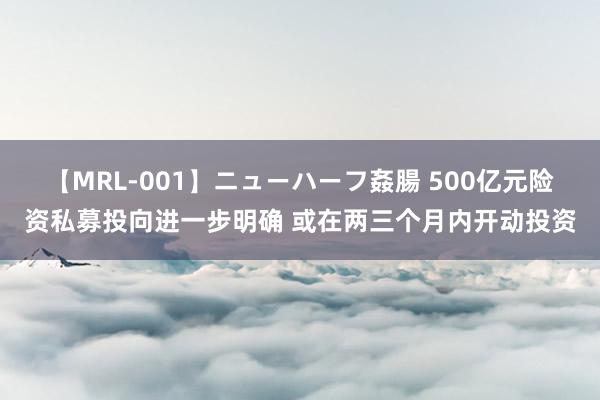 【MRL-001】ニューハーフ姦腸 500亿元险资私募投向进一步明确 或在两三个月内开动投资