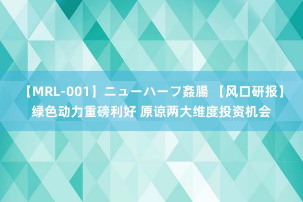 【MRL-001】ニューハーフ姦腸 【风口研报】绿色动力重磅利好 原谅两大维度投资机会