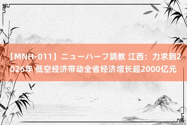 【MNH-011】ニューハーフ調教 江西：力求到2026年 低空经济带动全省经济增长超2000亿元