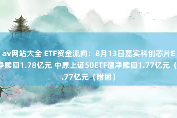 av网站大全 ETF资金流向：8月13日嘉实科创芯片ETF遭净赎回1.78亿元 中原上证50ETF遭净赎回1.77亿元（附图）