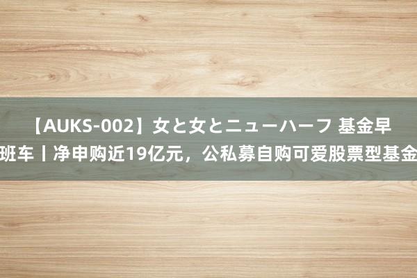 【AUKS-002】女と女とニューハーフ 基金早班车丨净申购近19亿元，公私募自购可爱股票型基金