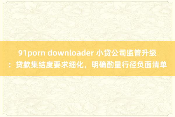 91porn downloader 小贷公司监管升级：贷款集结度要求细化，明确酌量行径负面清单