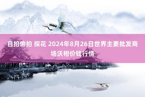 自拍偷拍 探花 2024年8月26日世界主要批发商场沃柑价钱行情