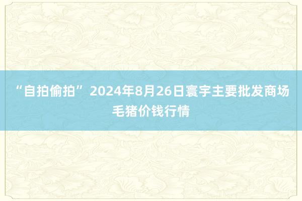 “自拍偷拍” 2024年8月26日寰宇主要批发商场毛猪价钱行情