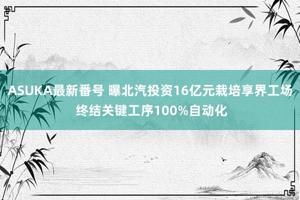 ASUKA最新番号 曝北汽投资16亿元栽培享界工场 终结关键工序100%自动化