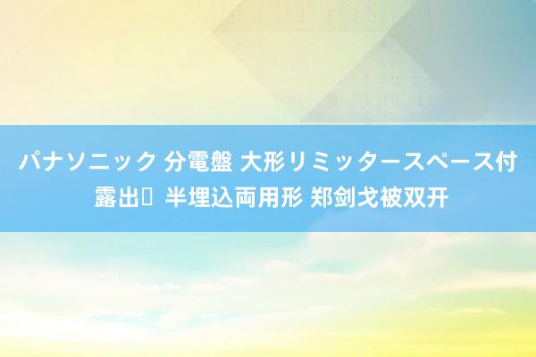 パナソニック 分電盤 大形リミッタースペース付 露出・半埋込両用形 郑剑戈被双开