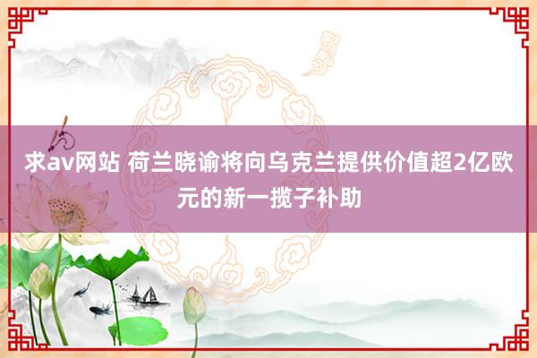 求av网站 荷兰晓谕将向乌克兰提供价值超2亿欧元的新一揽子补助