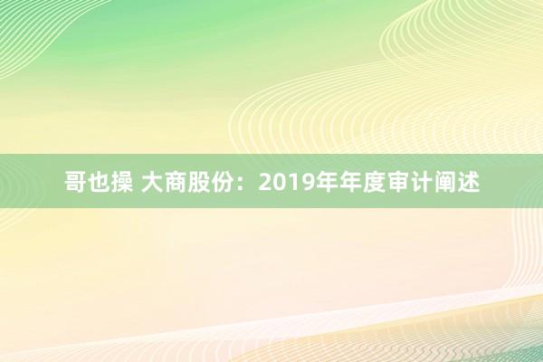 哥也操 大商股份：2019年年度审计阐述